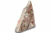 Free-Standing, Polished Brecciated Chert Section - Australia #317912-1